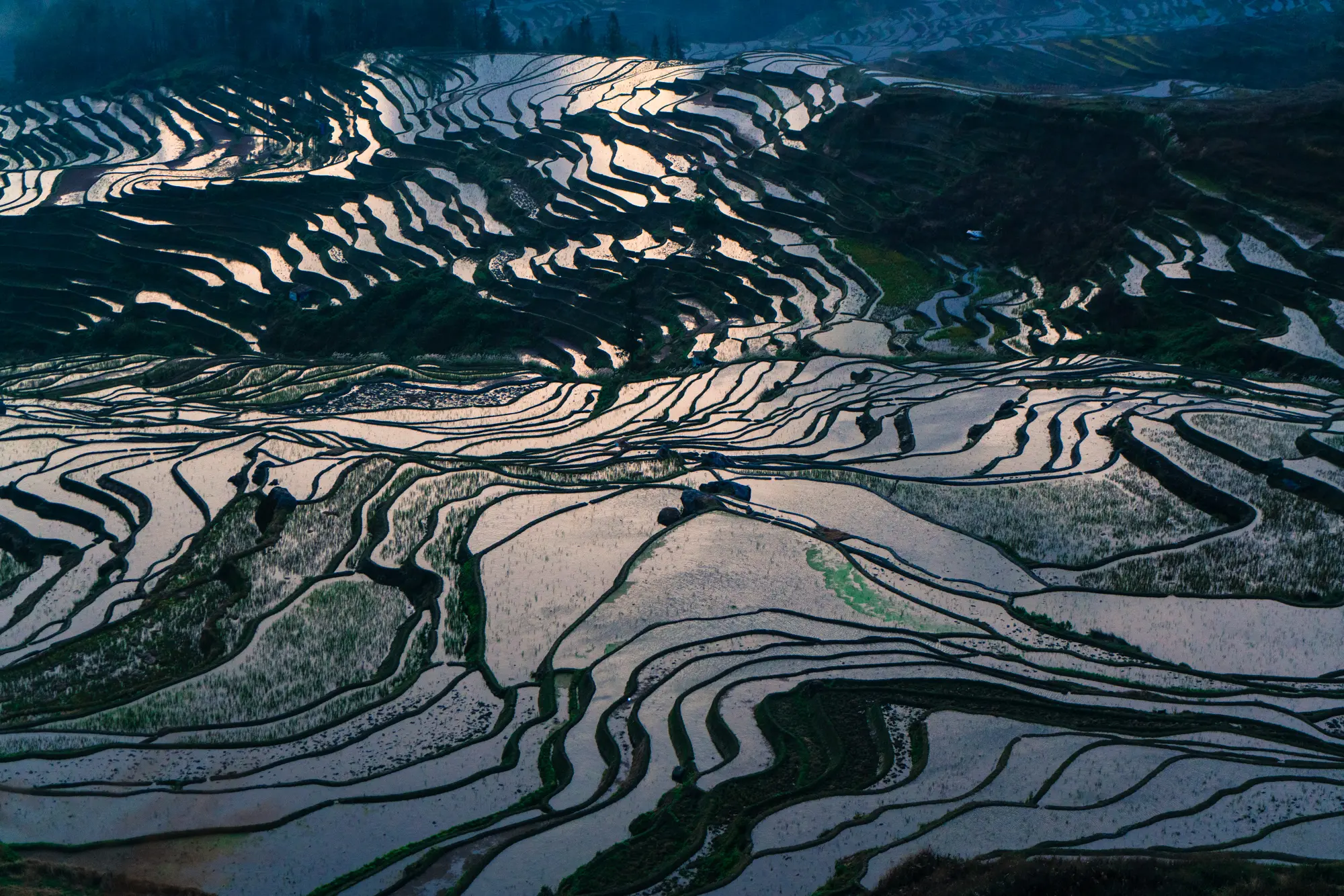 Yuanyang rice terraces